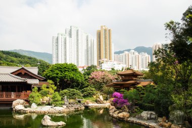 Chi lin nan lian Bahçe hong Kong tapınakta