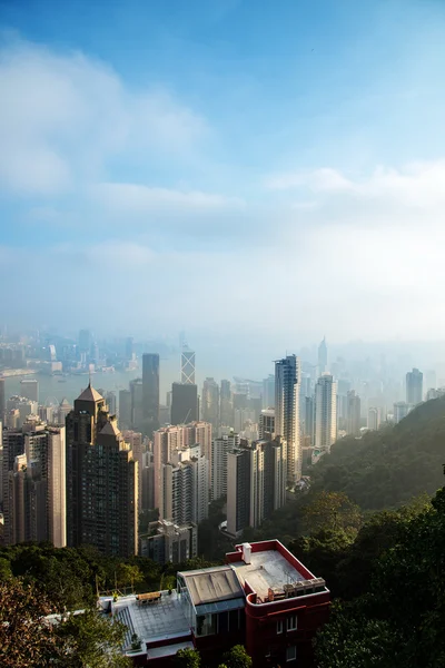 Widok z Victoria Peak do dzielnicy biznesowej i zatoce w — Zdjęcie stockowe