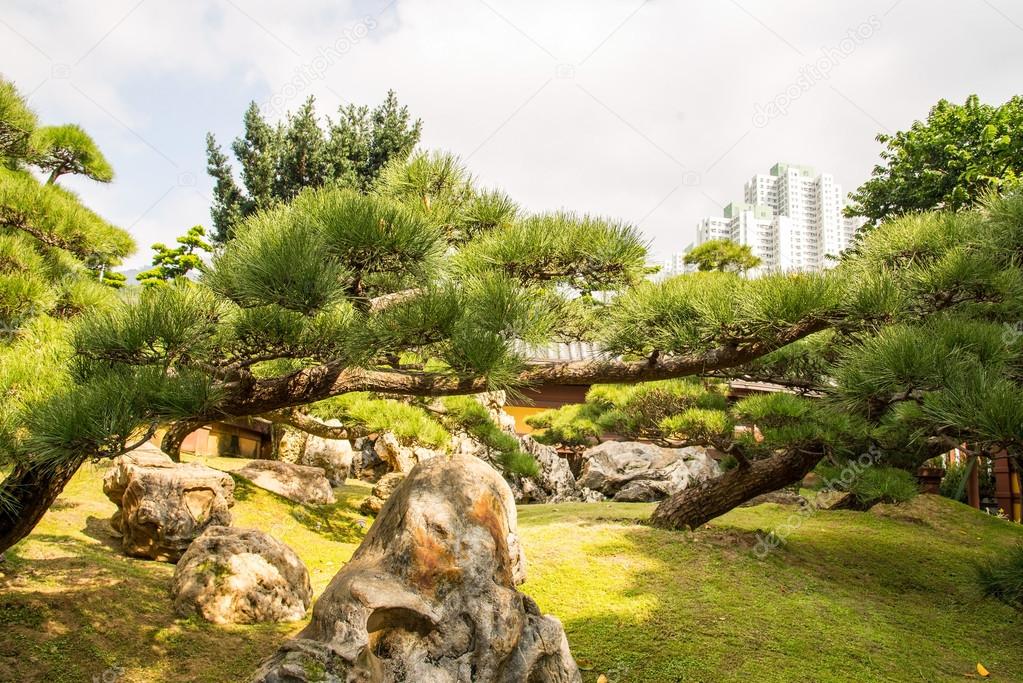 Pavilion of Absolute Perfection in Nan Lian Garden, Hong Kong, C