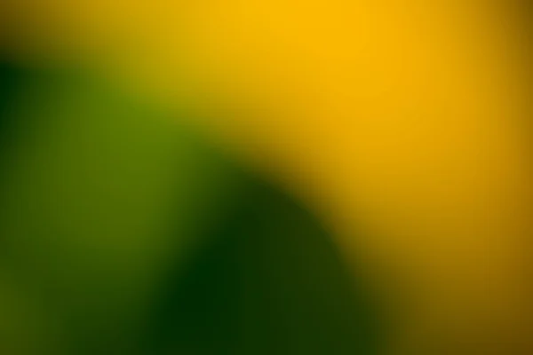 Abstract colourful background. defocus image from green leaves w