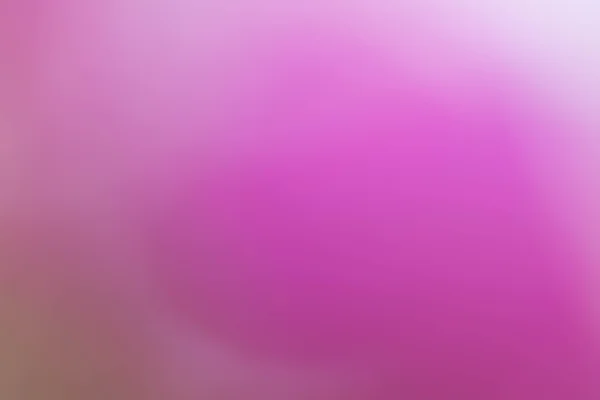 Abstract colourful background. defocus image from pink flower wi