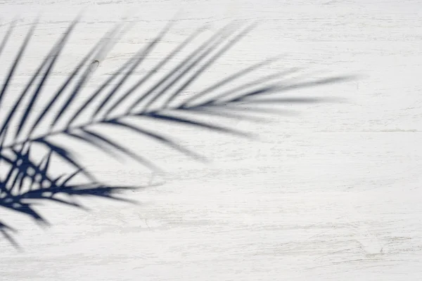A sombra do ramo de palma em uma superfície de madeira branca — Fotografia de Stock