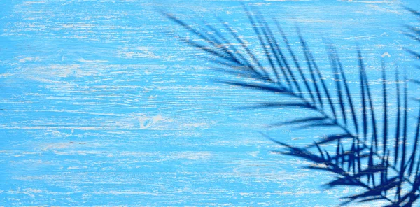 De schaduw van de palmtak op een blauwe houten ondergrond — Stockfoto