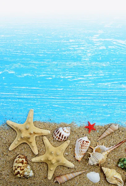 Seashells and starfish on a blue wooden background — Stock Photo, Image