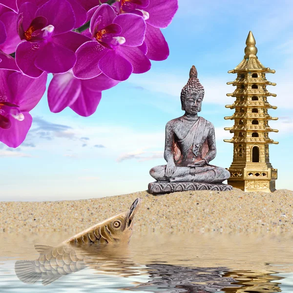Buda, flores de orquídea, arowana con moneda reflejada en el agua.Símbolo de riqueza y gran fortuna en Feng-Shui —  Fotos de Stock