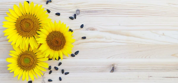 Ahşap arka planda üç ayçiçeği ve tohum — Stok fotoğraf