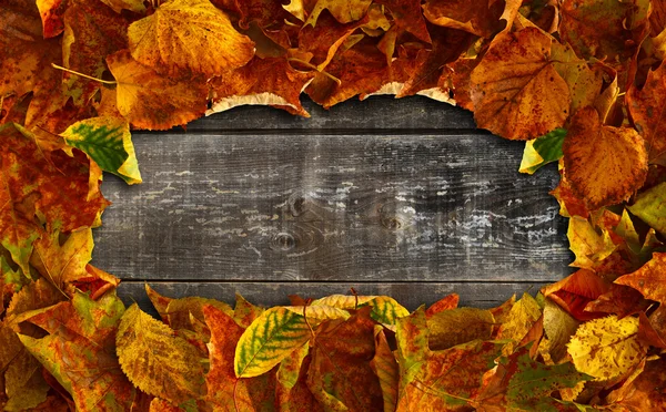 The frame of the old multi-colored autumn leaves on the old wooden background — Stock Photo, Image