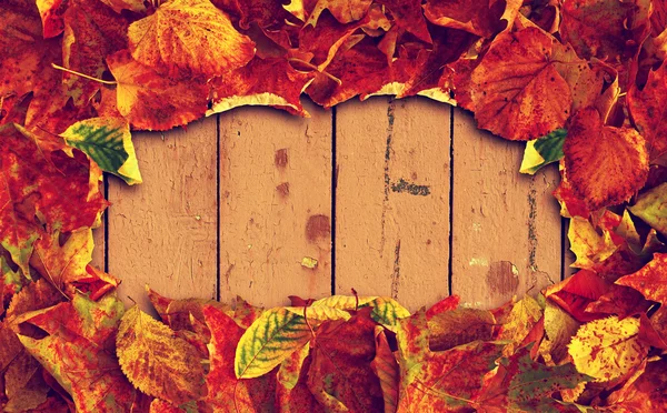 The frame of the old autumn leaves on the old wooden background. Photo in vintage style — Stock Photo, Image