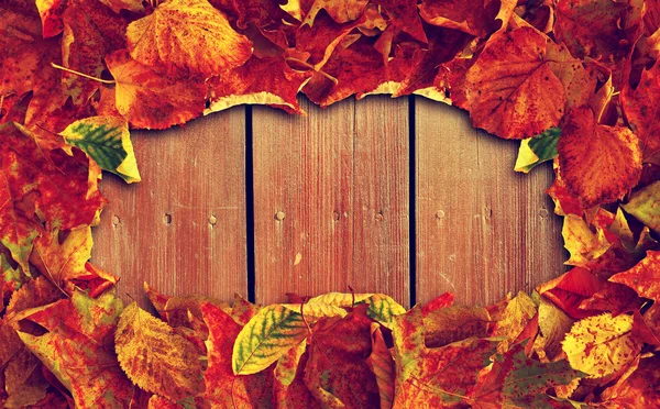 The frame of the old autumn leaves on the old wooden background. Photo in vintage style — Stock Photo, Image