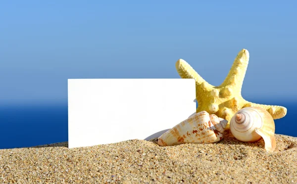 Seashells and starfish with blank card on sand beach — Stock Photo, Image