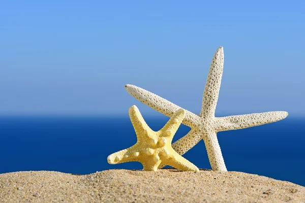 모래 해변, 여행 컨셉에 색상 starfishes — 스톡 사진