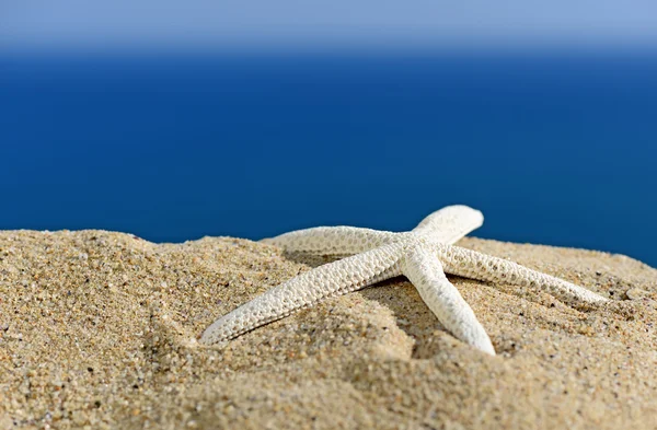 Estrella de mar en la playa de arena, concepto de viaje — Foto de Stock