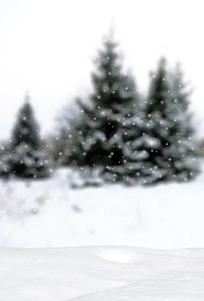 Inverno país das maravilhas fundo na neve coberto de floresta — Fotografia de Stock