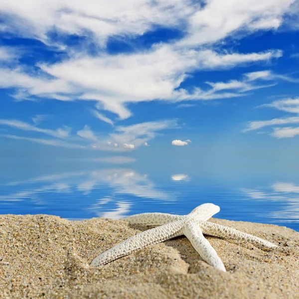 Fondo acuático.Color estrellas de mar en la playa de arena, concepto de viaje — Foto de Stock