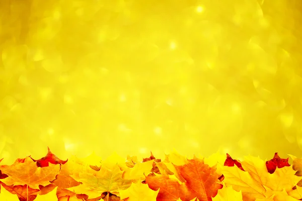 Altın arka plan üzerinde sonbahar yaprakları — Stok fotoğraf
