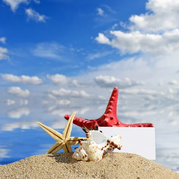 Beach background.Seashells and starfish with blank card on sand beach — Stock Photo, Image
