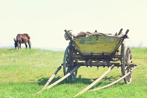 Burro pastando en un prado. El carro en primer plano.Foto especial tonificada en estilo vintage — Foto de Stock