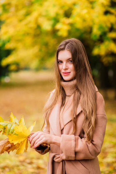 Mulher Bonita Passar Tempo Parque Durante Temporada Outono — Fotografia de Stock