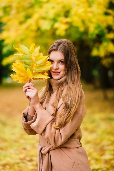 Piękna Kobieta Spędza Czas Parku Sezonie Jesiennym — Zdjęcie stockowe