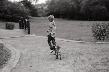 Tatlı çocuk çayırda köpeğiyle oynuyor ve yürüyor..