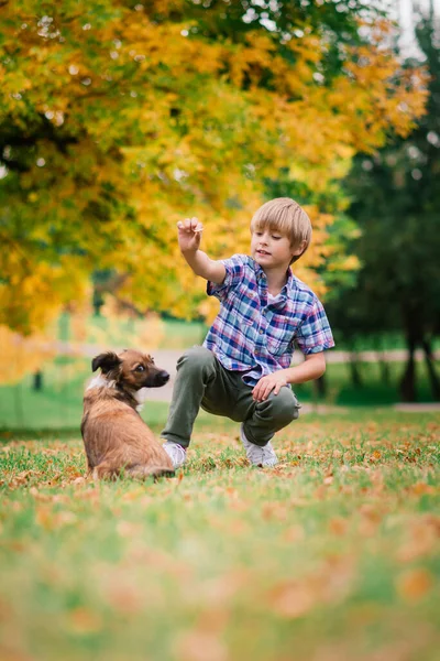 Rapaz Bonito Brincando Andando Com Seu Cão Prado — Fotografia de Stock