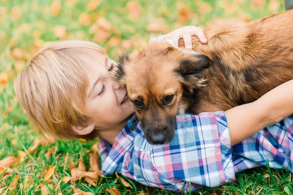 Leuke Jongen Spelen Wandelen Met Zijn Hond Wei — Stockfoto