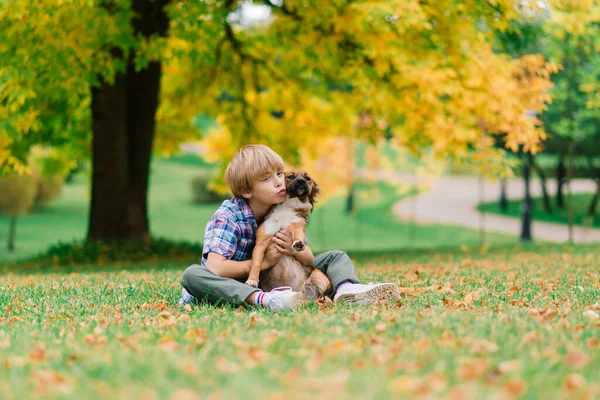 Netter Junge Spielt Und Geht Mit Seinem Hund Auf Der — Stockfoto