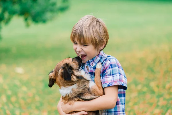 Söt Pojke Leker Och Går Med Sin Hund Ängen — Stockfoto