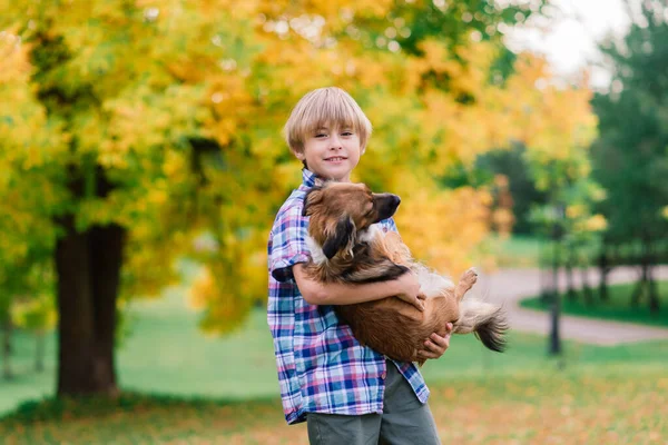 可爱的男孩和他的狗在草地上玩耍和散步 — 图库照片