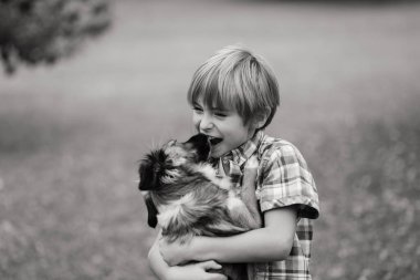 Tatlı çocuk çayırda köpeğiyle oynuyor ve yürüyor..