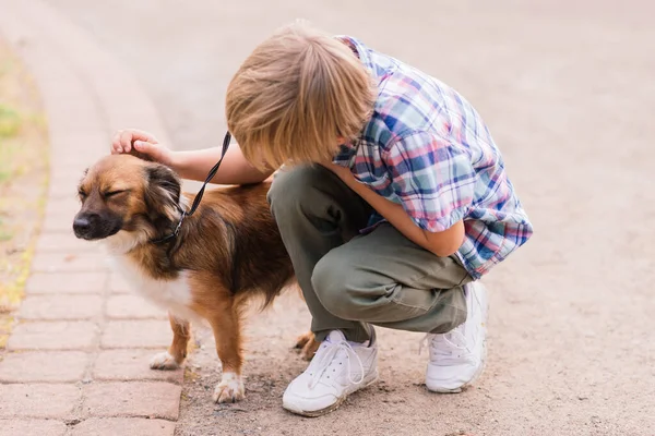 Leuke Jongen Spelen Wandelen Met Zijn Hond Wei — Stockfoto