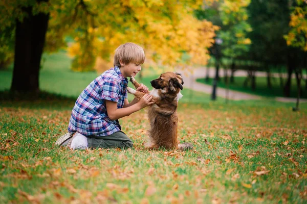 Netter Junge Spielt Und Geht Mit Seinem Hund Auf Der — Stockfoto