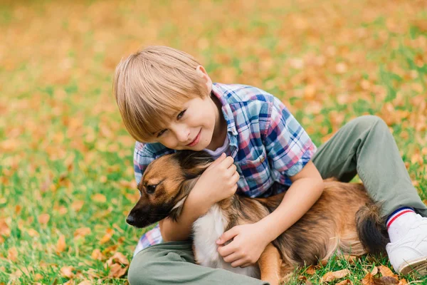 可爱的男孩和他的狗在草地上玩耍和散步 — 图库照片
