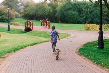 Tatlı çocuk çayırda köpeğiyle oynuyor ve yürüyor..