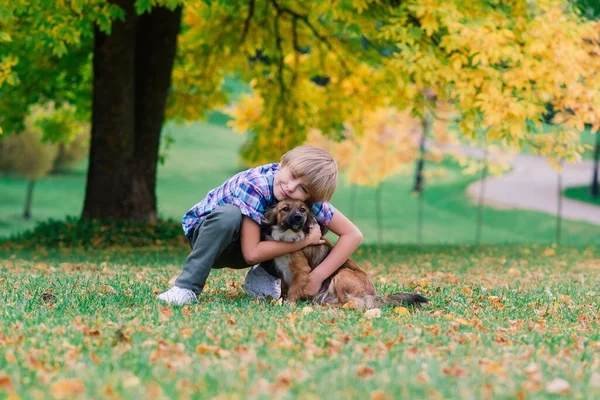 かわいい男の子が遊んでいると草原で彼の犬と一緒に歩く — ストック写真