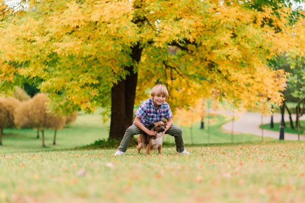 かわいい男の子が遊んでいると草原で彼の犬と一緒に歩く — ストック写真