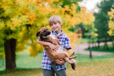 Çocuk sonbaharda bir köpeğe sarılıyor ve onunla kırıştırıyor, şehir parkında
