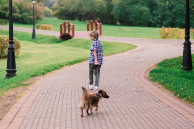 Çocuk sonbaharda bir köpeğe sarılıyor ve onunla kırıştırıyor, şehir parkında