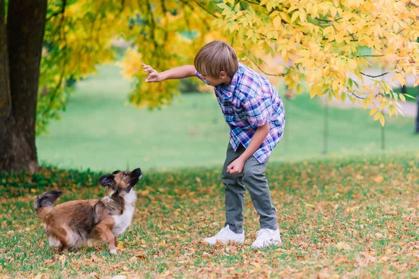 Jongen Knuffelen Een Hond Plyaing Met Herfst Stadspark — Stockfoto