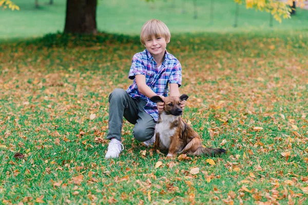 Jongen Knuffelen Een Hond Plyaing Met Herfst Stadspark — Stockfoto