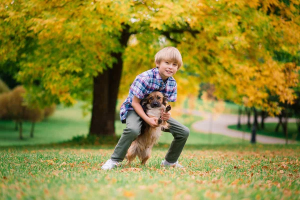 Jongen Knuffelen Een Hond Plyaing Met Herfst Stadspark — Stockfoto