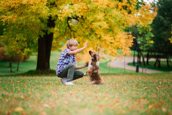 Çocuk Sonbaharda Bir Köpeğe Sarılıyor Onunla Kırıştırıyor Şehir Parkında — Stok fotoğraf