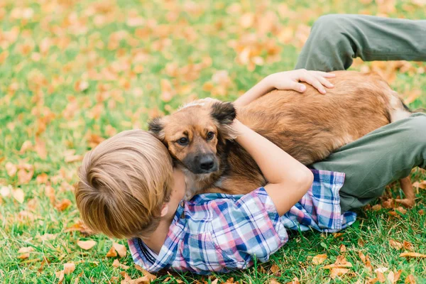 Junge Umarmt Hund Und Plappert Mit Herbst Stadtpark — Stockfoto