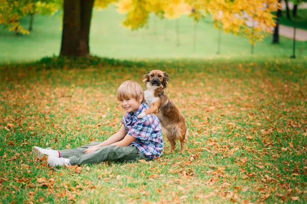 Boy hugging a dog and plyaing with in the fall, city park