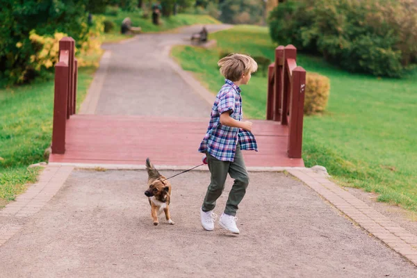 Cute Boy Playing Walking His Dog Meadow — Stock Photo, Image