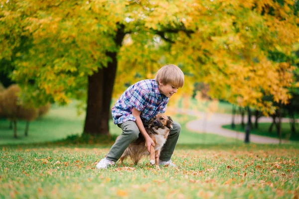 Netter Junge Spielt Und Geht Mit Seinem Hund Auf Der — Stockfoto