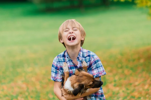 Leuke Jongen Spelen Wandelen Met Zijn Hond Wei — Stockfoto