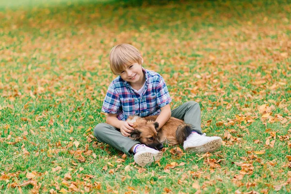 Милый Мальчик Играет Гуляет Своей Собакой Лугу — стоковое фото