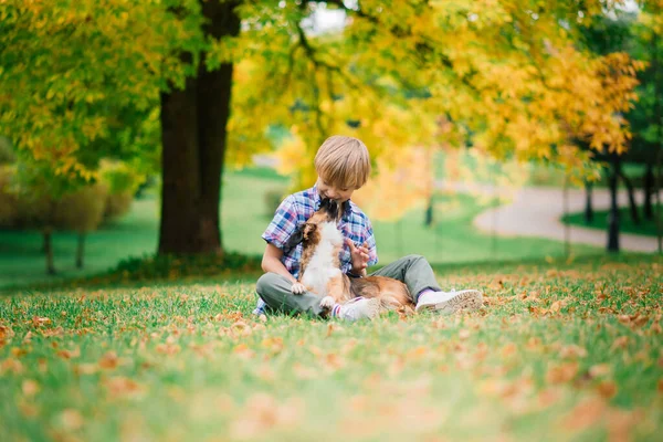 Leuke Jongen Spelen Wandelen Met Zijn Hond Wei — Stockfoto