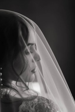 Beyaz iç çamaşırlı, güzel, seksi esmer kız stüdyoda poz veriyor.